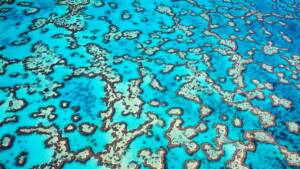 Great Barrier Reef