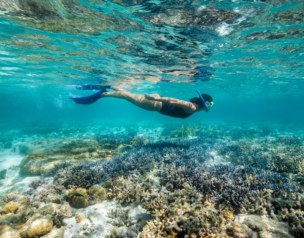 Snorkel Hook Island Whitsundays with Lady Enid