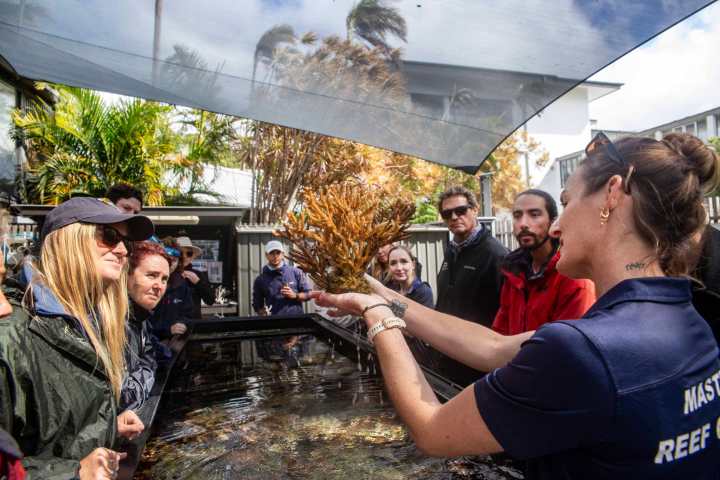 Group observing a guide holding coral over an outdoor tank.