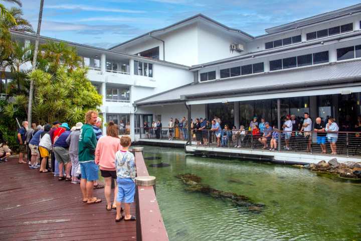Queue of people outside by a building and pond on a cloudy day.