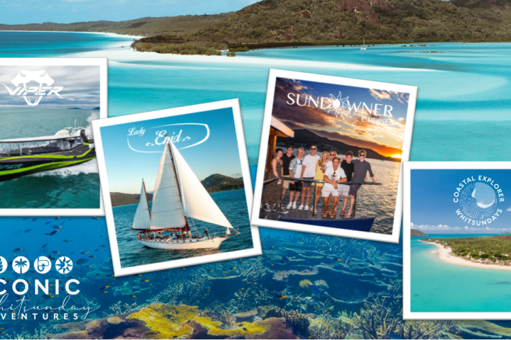 graphical user interface, website