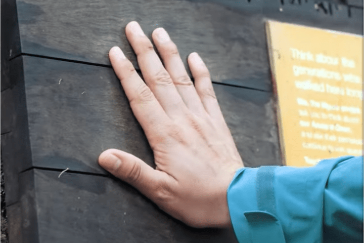 Lady Enid guest exploring the immersive Ngaro Cultural Site information in Nara Inlet on Hook Island, Whitsundays