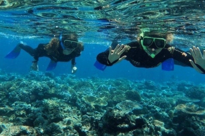 a person swimming in a body of water