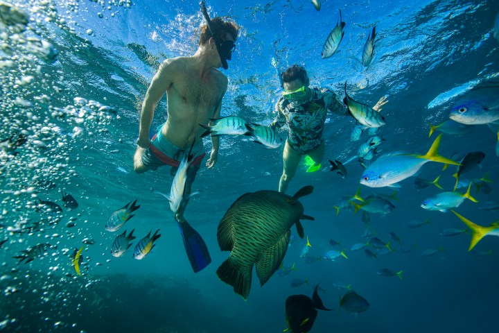 a group of people swimming in the water