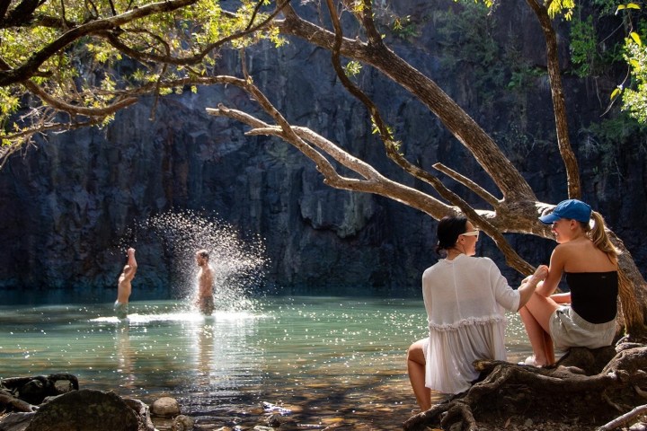 a person standing next to a tree