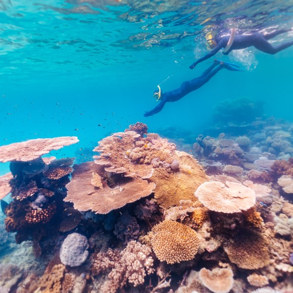 a person swimming in the water
