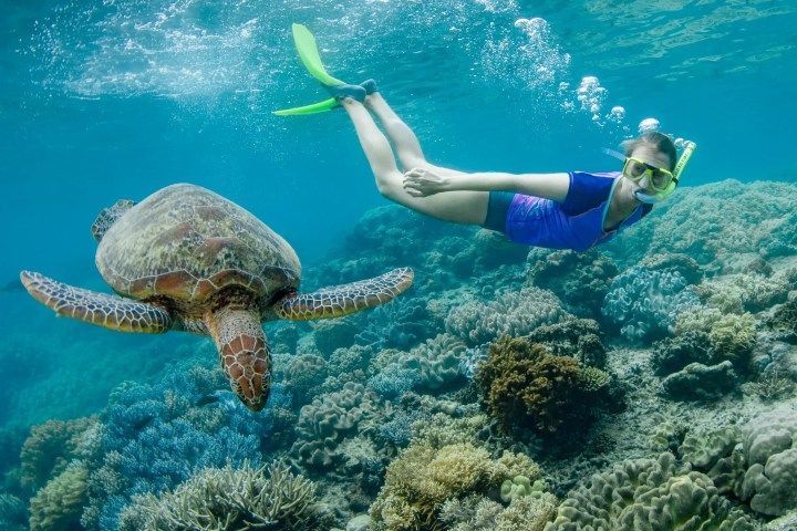 Lady Enid Sailing to Whitehaven Beach and Hill Inlet where turtles are often seen