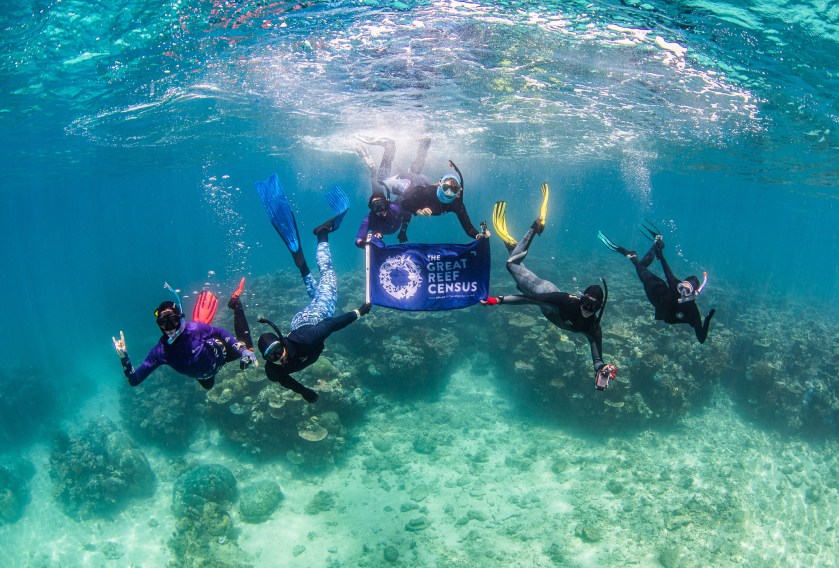 Group of snorkelers underwater holding a Great Reef Census banner over coral reef.