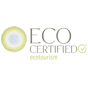 Eco Certified ecotourism logo with circular tree ring design.